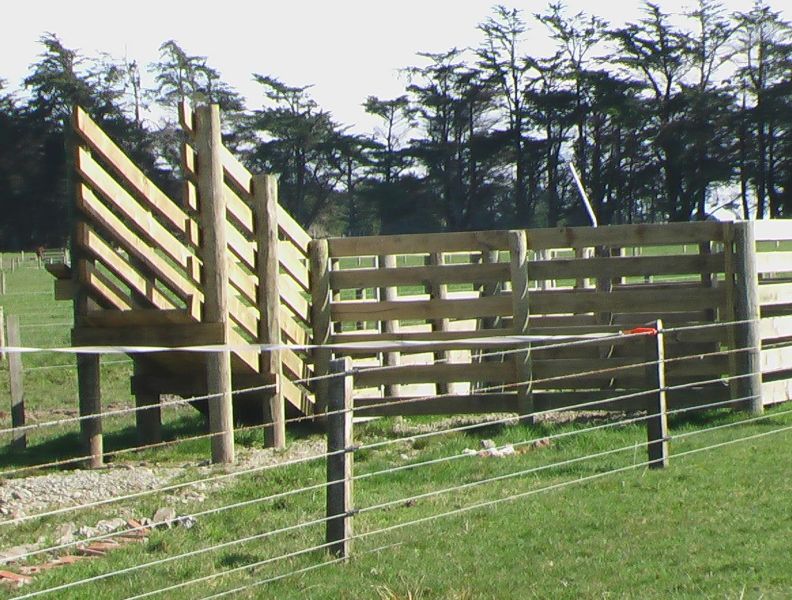 Homemade Cattle Head Gate Design