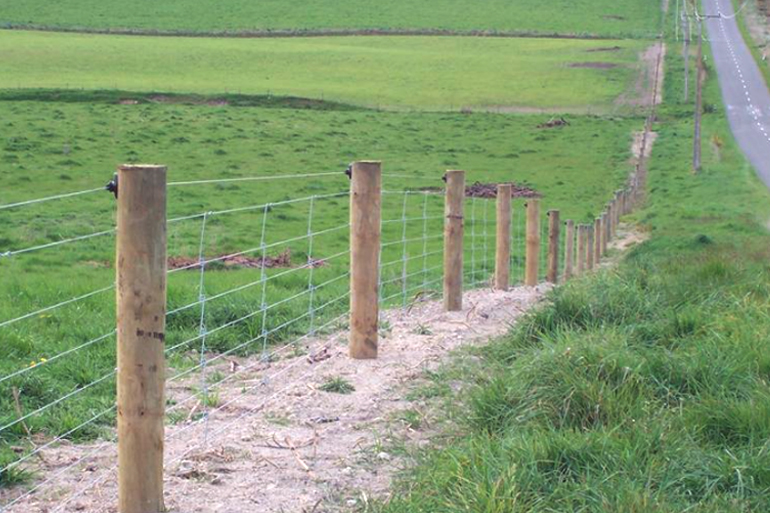 Sheep and Cattle Posts and Strainers