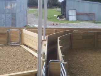 Sheep Yards