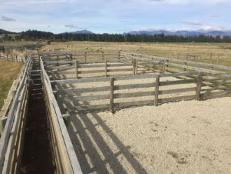 Cattle Yards