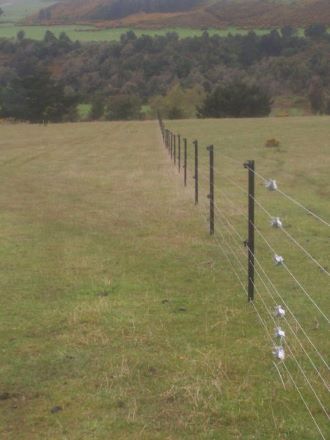 Steel Y Posts
