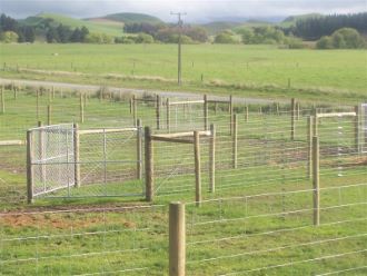 Deer Posts and Strainers