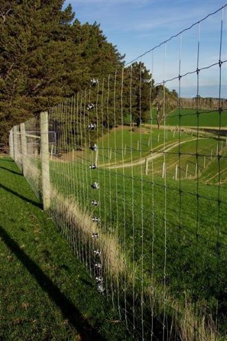 Deer Posts and Strainers