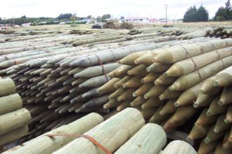 Sheep and Cattle Posts and Strainers