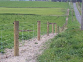 Sheep and Cattle Posts and Strainers