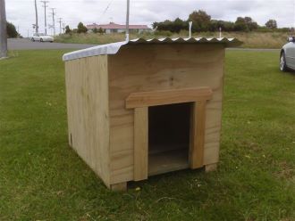 Ply Dog Kennel